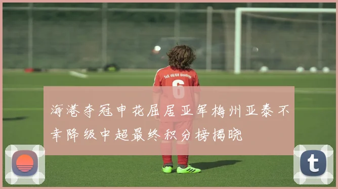 海港夺冠申花屈居亚军梅州亚泰不幸降级中超最终积分榜揭晓