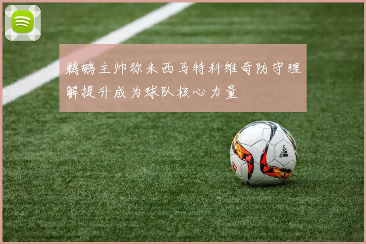 鹈鹕主帅称米西马特科维奇防守理解提升成为球队核心力量
