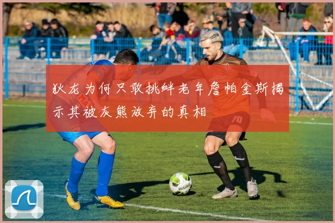 狄龙为何只敢挑衅老年詹帕金斯揭示其被灰熊放弃的真相