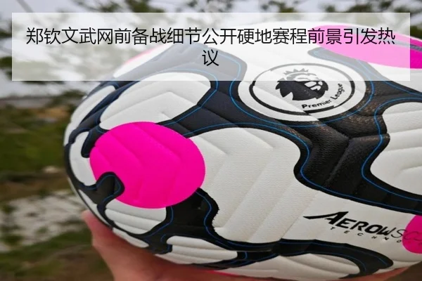 郑钦文武网前备战细节公开硬地赛程前景引发热议 | ACMilan